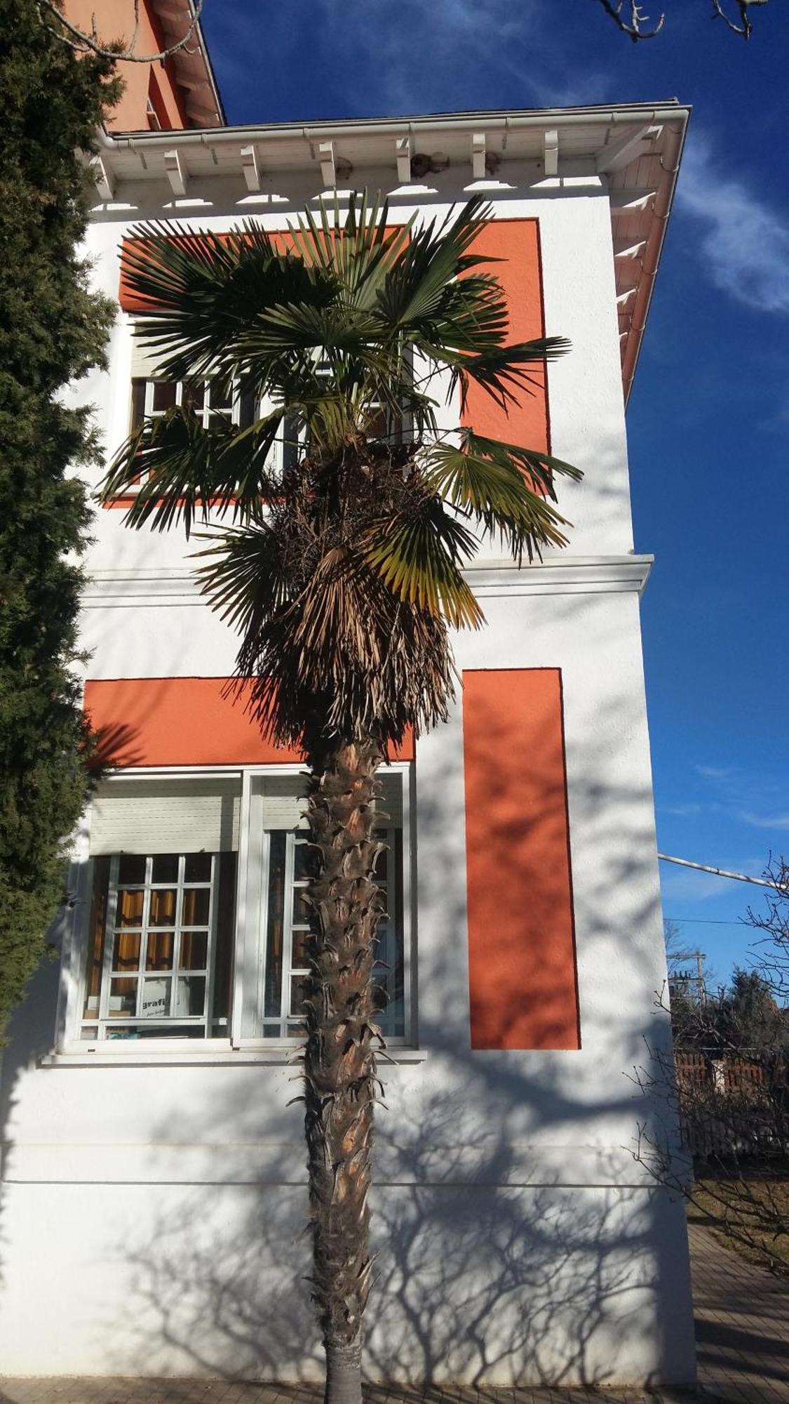La Casa Grande De Gormaz Villa Quintanas de Gormaz Kültér fotó